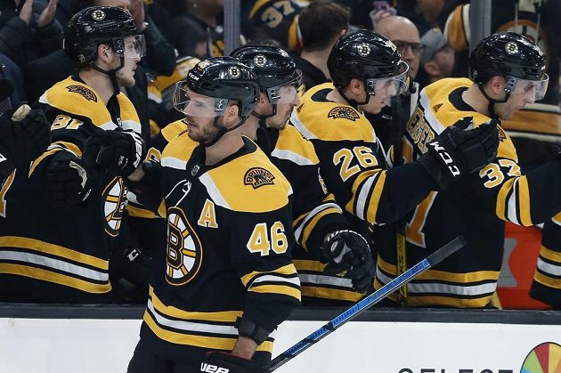 Česká radost. Útočník Bostonu Bruins David Krejčí slaví se spoluhráč vstřelený gól v utkání NHL.