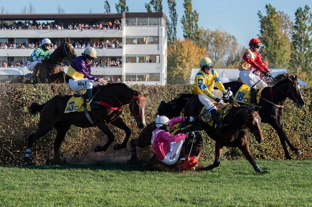 Žokej Josef Bartoš (v růžovém) opustil sedlo a nezadržitelně míří k zemi, valach Vicody skončil tragicky. Vlevo další valach Kasim (ž. Martin Liška). Taxis byl konečnou i pro Universe of Gracie (22, jezdec Lukáš Sloup), v pravo klisna Delight My Fire (ž. Niklas Lovén).