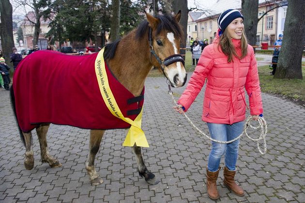Olympijská vítězka ve snowboardkrosu Eva Samková dostala na slavnostním přivítání olympioniků v rodném Vrchlabí vysněného koně.