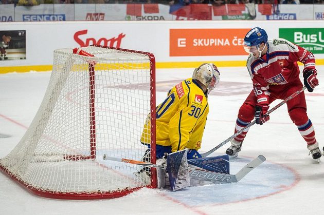 Český reprezentant David Pastrňák a švédský brankář Viktor Fasth během utkání Euro Hockey Tour ve Znojmě.