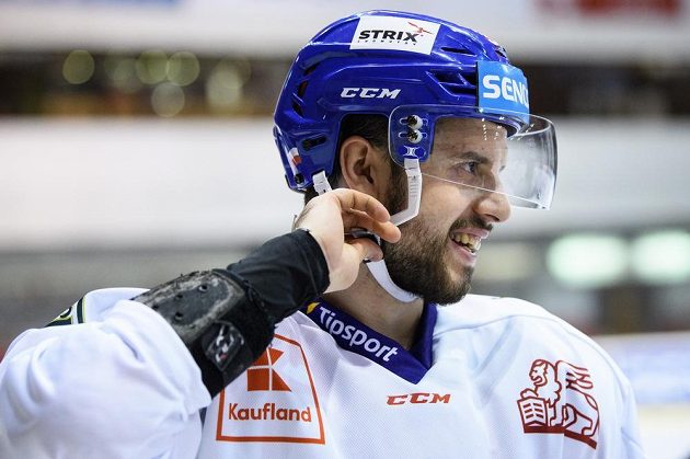 Tomáš Hyka během tréninku hokejové reprezentace před turnajem Beijer Hockey Games.