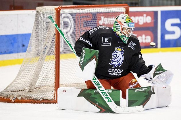 Roman Will během tréninku hokejové reprezentace před turnajem Beijer Hockey Games.