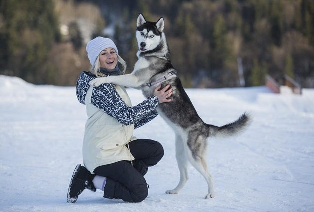 Česká snowboardistka Kateřina Vojáčková.