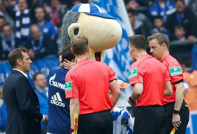 Maskot Schalke Erwin s červenou kartou u sudího Felixe Zwayera (druhý zprava), vlevo kouč Markus Weinzierl.