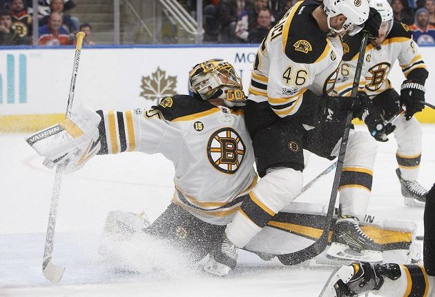 Útočník Bostonu Bruins David Krejčí (46) se snažil pomoci svému brankáři v utkání s Edmontonem v NHL.