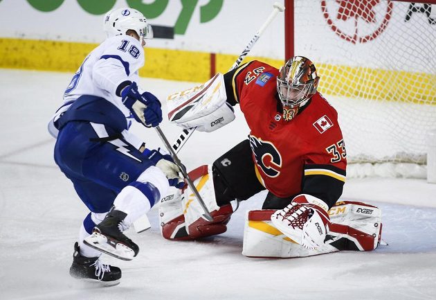 NHL | Boston - Anaheim 3:1, Češi v NHL pálili ostrými ...