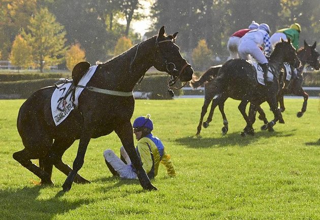 Žokej Jan Faltejsek s Tziganem Du Berlais po pádu na Taxisově příkopu. S číslem 20 odjíždí po zvládnutí překážky Krocoleon.