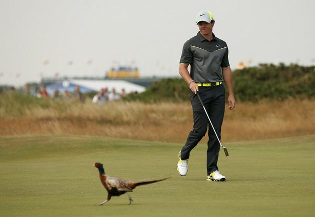 Rory McIlroy ze Severního Irska při British Open v Hoylake. Bažant ho nevyvedl z míry.