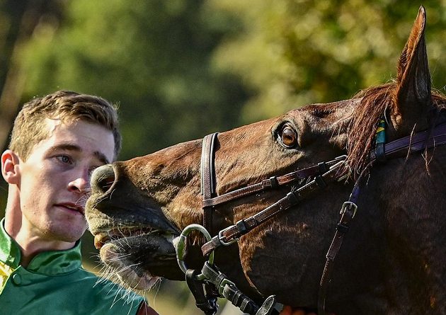 Winning Talent with jockey Pavel Složil.