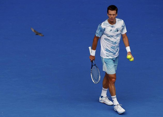 Český tenista Tomáš Berdych sleduje letícího ptáka během čtvrtfinále Australian Open proti Rafaelu Nadalovi.