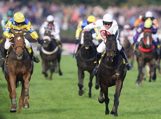 Vítěz Velké pardubické Jan Faltejsek s klisnou Orphee des Blins (vpravo) v cílové rovince.