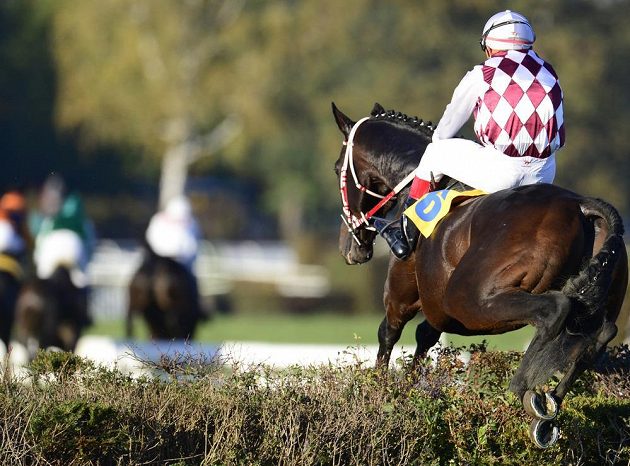 Josef Váňa s koněm Tiumenem překonává jednu z překážek na 123. Velké pardubické. Tu poslední však přeskočit bez zaváhání nedokázali a závod nedokončili.