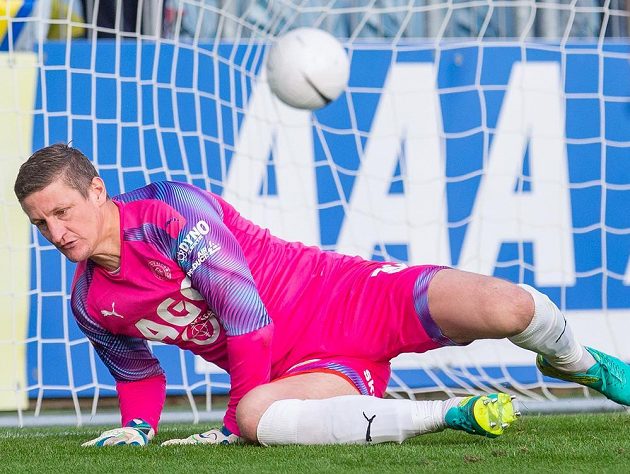 Teh keeper Teplic Tomáš Grigar gets a goal from the penalty area.