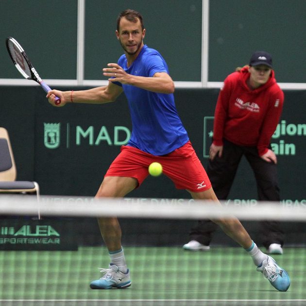 Lukáš Rosol při čtyřhře proti Nizozemsku.