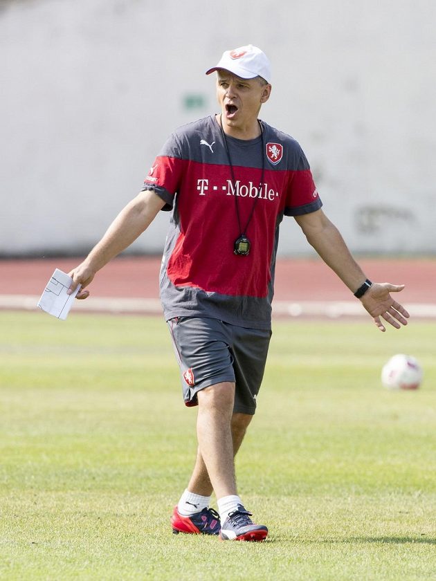 Vítězslav Lavička