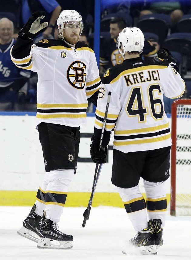 Útočník týmu Boston Bruins Jimmy Hayes slaví gól s Davidem Krejčím v utkání NHL s Tampou Bay Lightning.