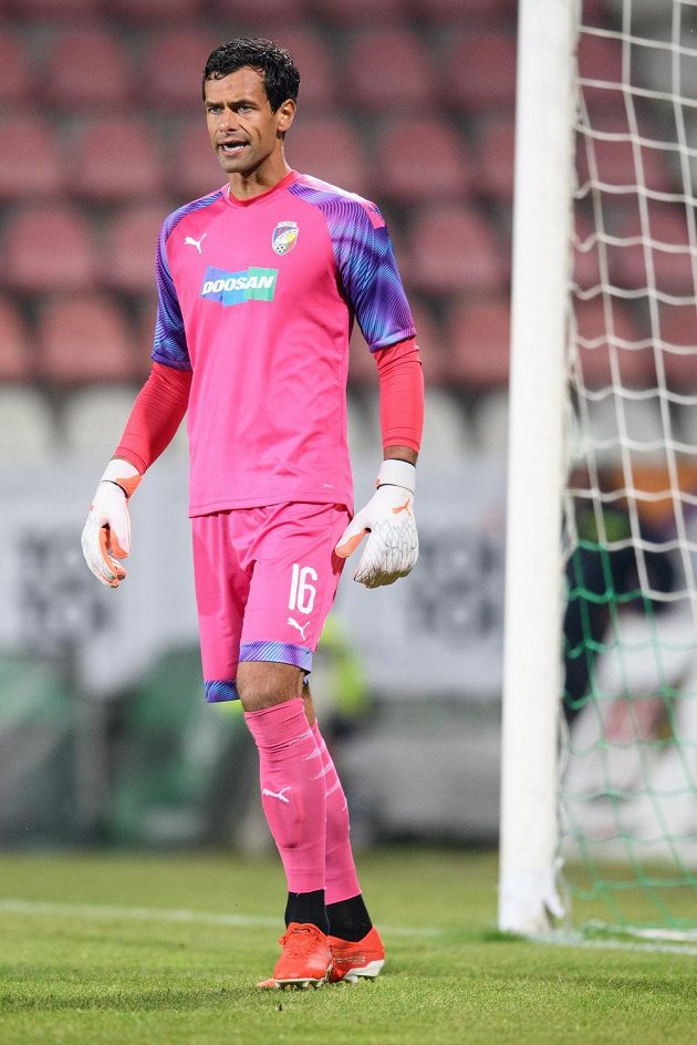 Brankář Viktorie Plzeň Aleš Hruška během utkání 8. kola Fortuna ligy v Příbrami.