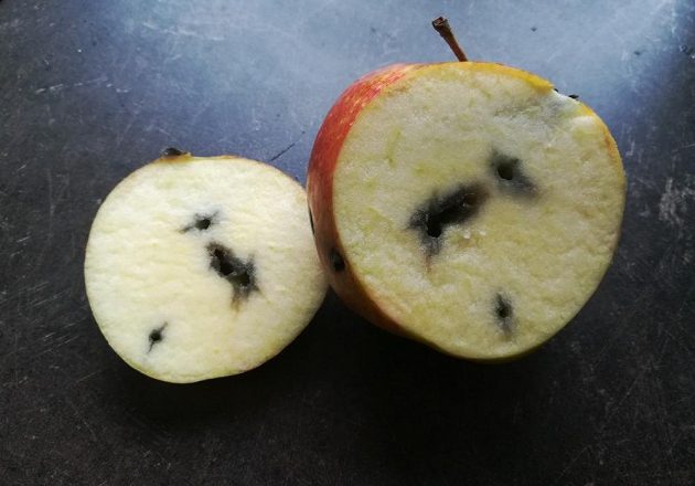 Vypadá sice trochu podezřele, ale zdravé opravdu je!