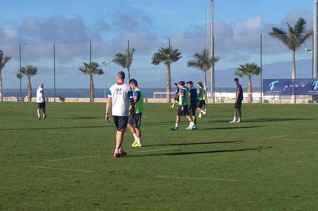 Všude samé palmy... Vítězslav Lavička se svými svěřenci na Tenerife.