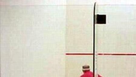 Squash - ilustrační foto Squash - ilustrační foto
