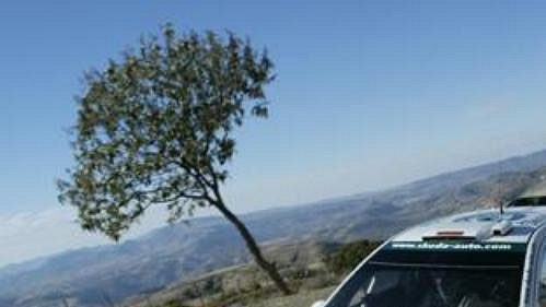 Armin Schwarz s Fabií WRC na trati Mexické rallye. Armin Schwarz s Fabií WRC na trati Mexické rallye.