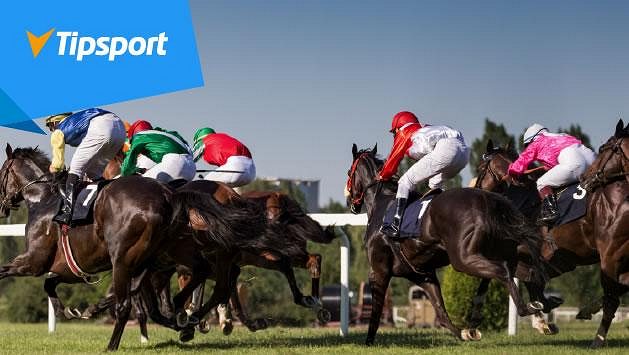 Jak najít vítězného koně? Bookmaker Tipsportu radí před Velkou Pardubickou Jak najít vítězného koně? Bookmaker Tipsportu radí před Velkou Pardubickou