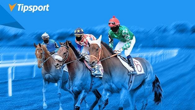 Sázky bude Tipsport přijímat i přímo na pardubickém závodišti. Sázky bude Tipsport přijímat i přímo na pardubickém závodišti.