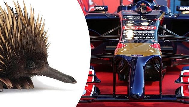 Toro Rosso STR9 vypadá jako ježura. Toro Rosso STR9 vypadá jako ježura.