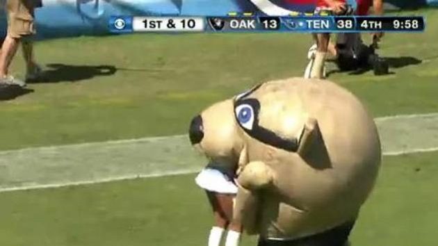 Maskot NFL sežral roztleskávačku Maskot NFL sežral roztleskávačku
