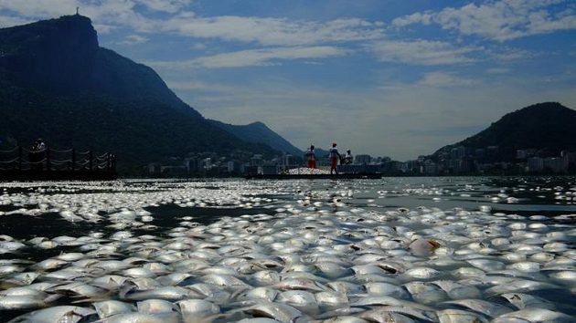 Laguna leží pod slavnou sochou Krista Spasitele, která na Rio shlíží z vrcholku hory Corcovado. Laguna leží pod slavnou sochou Krista Spasitele, která na Rio shlíží z vrcholku hory Corcovado.