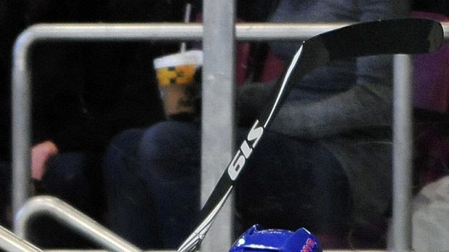 Hokejista New York Rangers Marian Gaborik se raduje z gólu, který střelil Columbusu Blue Jackets. Hokejista New York Rangers Marian Gaborik se raduje z gólu, který střelil Columbusu Blue Jackets.