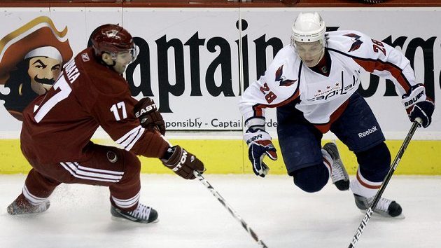 Křídlo Washingtonu Capitals Alexander Sjomin se snaží obejít Radima Vrbatu (vpravo) z Phoenixu Coyotes. Křídlo Washingtonu Capitals Alexander Sjomin se snaží obejít Radima Vrbatu (vpravo) z Phoenixu Coyotes.