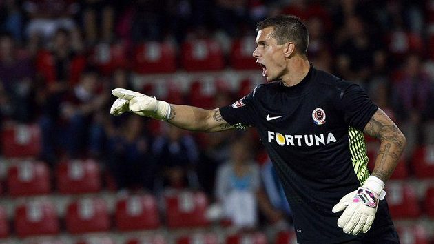 Gólman Milan Švenger. Gólman Milan Švenger.