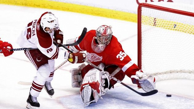 Útočník Phoenixu Petr Průcha střílí gól do sítě gólmana Detroitu Jimmyho Howarda. Útočník Phoenixu Petr Průcha střílí gól do sítě gólmana Detroitu Jimmyho Howarda.