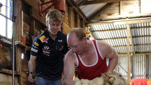 Jezde F1 Sebastian Vettel jako střihač ovcí na australské farmě. Nebohé zvíře mu museli přidržet, jinak by si mistr světa na chleba nevydělal... Jezde F1 Sebastian Vettel jako střihač ovcí na australské farmě. Nebohé zvíře mu museli přidržet, jinak by si mistr světa na chleba nevydělal...