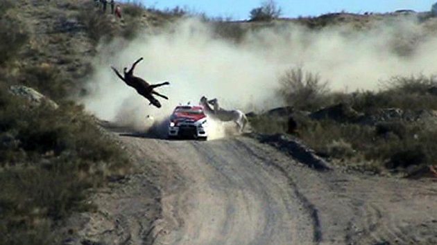 Pilot Federico Villagra sráží během Argentinské rallye koně. Pilot Federico Villagra sráží během Argentinské rallye koně.
