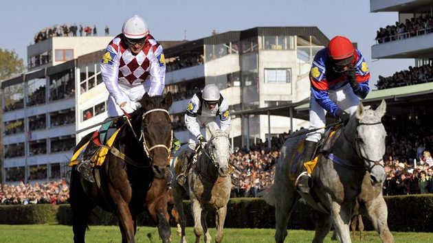 Josef Bartoš uprostřed při Velké pardubické Josef Bartoš uprostřed při Velké pardubické