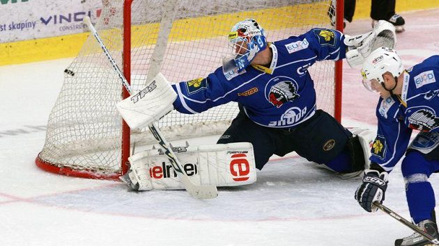 Plzeňský brankář Dušan Salfický při utkání s Mladou Boleslaví Plzeňský brankář Dušan Salfický při utkání s Mladou Boleslaví