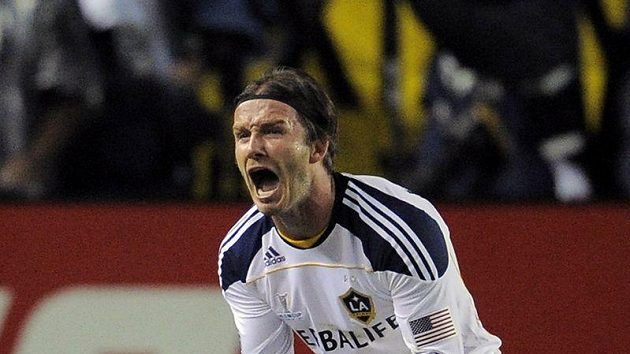 David Beckham David Beckham