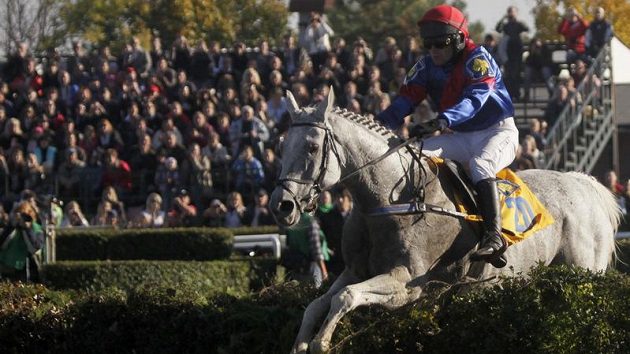 Žokej Marek Stromský s Amant Grisem na jedné z překážek 120. Velké pardubické. Žokej Marek Stromský s Amant Grisem na jedné z překážek 120. Velké pardubické.