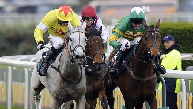 Neptune Collonges (zcela vlevo) v sedle s žokejem Darylem Jacobem vyhrál Velkou národní. Neptune Collonges (zcela vlevo) v sedle s žokejem Darylem Jacobem vyhrál Velkou národní.