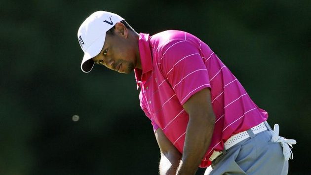 Golfista Tiger Woods Golfista Tiger Woods