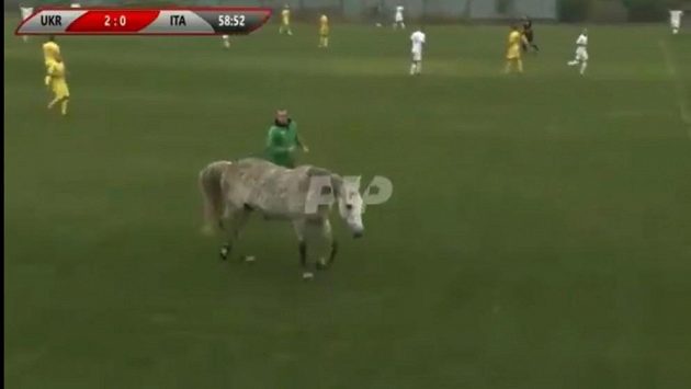 Utkání na Ukrajině narušil kůň Utkání na Ukrajině narušil kůň