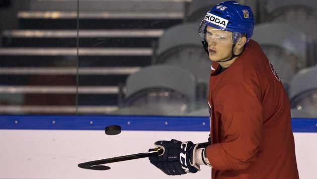 Radim Šimek na tréninku české reprezentace při MS v Paříži. Radim Šimek na tréninku české reprezentace při MS v Paříži.