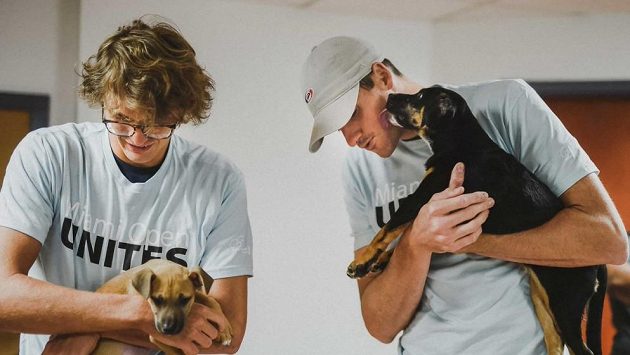 Alexander Zverev a John Isner se štěňaty. Alexander Zverev a John Isner se štěňaty.