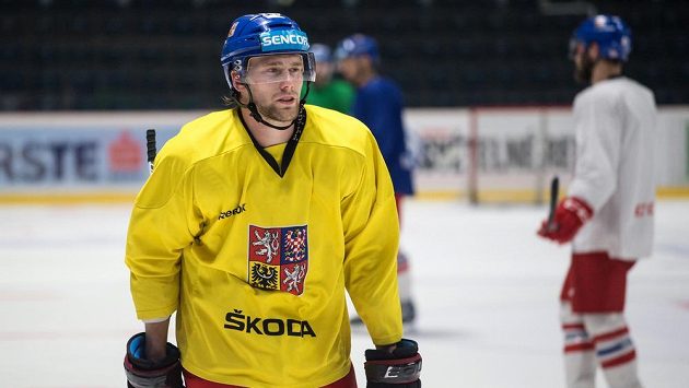 Útočník Jiří Sekáč během tréninku hokejové reprezentace ve Znojmě. Útočník Jiří Sekáč během tréninku hokejové reprezentace ve Znojmě.