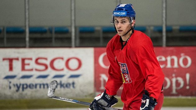 Hokejový obránce Jan Rutta. Hokejový obránce Jan Rutta.