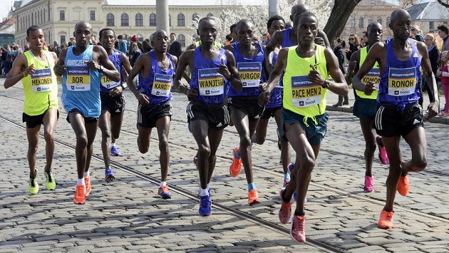 Sedmnáctý ročník půlmaratónu se běžel 28. března ulicemi Prahy. Vyhrál keňský běžec Daniel Kinyua Wanjiru (uprostřed) v čase 59:50 minuty. Sedmnáctý ročník půlmaratónu se běžel 28. března ulicemi Prahy. Vyhrál keňský běžec Daniel Kinyua Wanjiru (uprostřed) v čase 59:50 minuty.