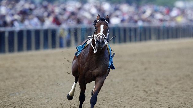 Kůň Bodexpress běží už bez svého žokeje Johna Velazqueze v závodu Preakness Stakes. Kůň Bodexpress běží už bez svého žokeje Johna Velazqueze v závodu Preakness Stakes.