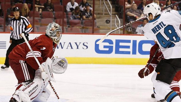 Tomáš Hertl ze San Jose se snaží zasáhnout puk před brankářem Phoenixu Thomasem Greissem. Tomáš Hertl ze San Jose se snaží zasáhnout puk před brankářem Phoenixu Thomasem Greissem.